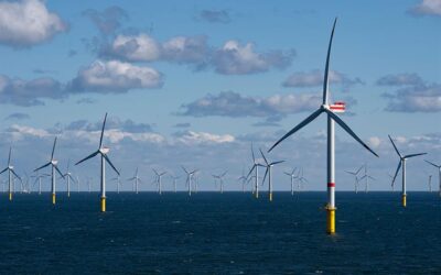 Vögel in Windparks aufspüren