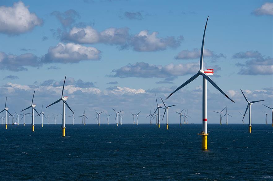 Vögel in Windparks aufspüren